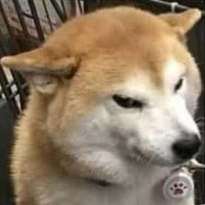 Meet your Posher, Leonardo